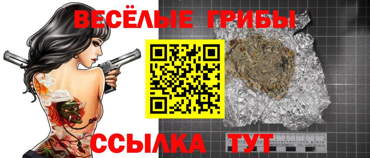купить  сайты  Псилоцибиновые грибы Cubensis  Вход с VPN  Ноябрьск  Галлюциногенные грибы Magic Shrooms 