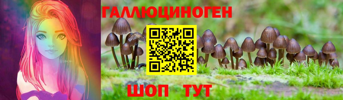 Галлюциногенные грибы прущие грибы Ноябрьск